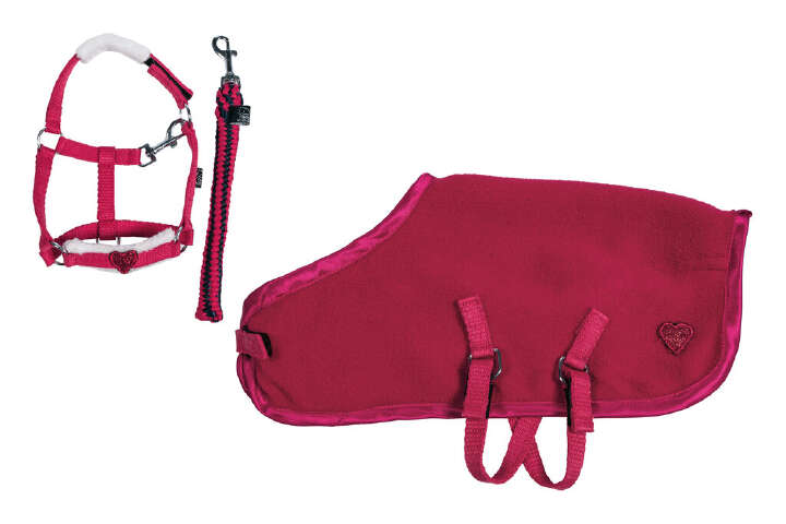 HKM KIDS Starterset Cuddle Pony